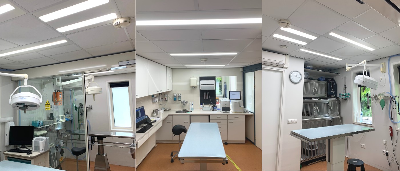 Vetled Led verlichting voor dierenartsen en dieren praktijkverlichting