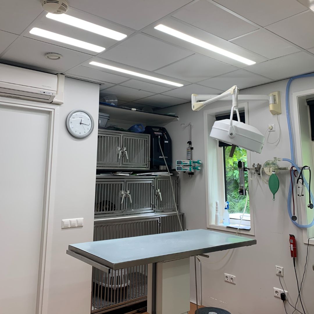 DIERENKLINIEK ZAMENHOFDREEF KIEST VOLSPECTRUM DAGLICHT LED-VERLICHTING